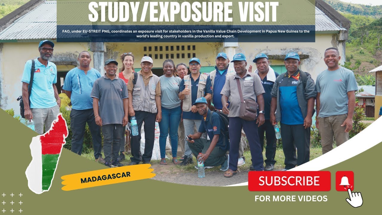 FAO Supports Papua New Guinea Delegation to Learn from Madagascar's Vanilla Industry