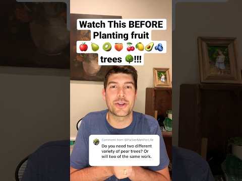 Video: Fruitbomen in tuinen - Ideeën voor het planten van fruitbomen in de tuin