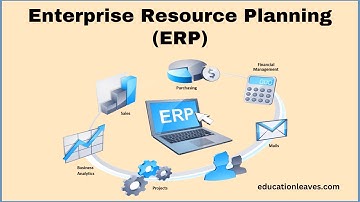 What is Enterprise Resource Planning (ERP)?