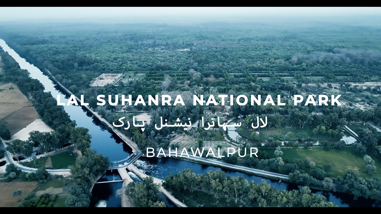 lal-suhanra-national-park-bahawalpur