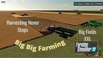 FS22 Big Fields XXL Gameplay Harvesting With Multi Harvesters Courseplay