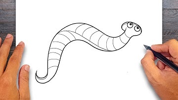 How to draw Leech - Annelids Drawing