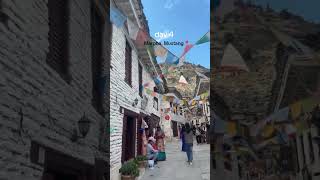 college trip🥰🥰 day 4 👉marpha mustang nepal🇳🇵🇳🇵🇳🇵🇳🇵🇳🇵#nepal #mustang #istagood #viralreels #trending