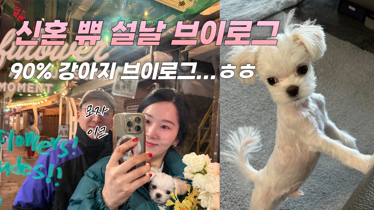 신혼 쀼 설날 브이로그💝강아지가 다 해먹은 브이로그