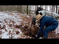 CLEARING THE TRAIL FOR SLEIGH RIDES &amp; Spreading Manure with the Draft Horses #570