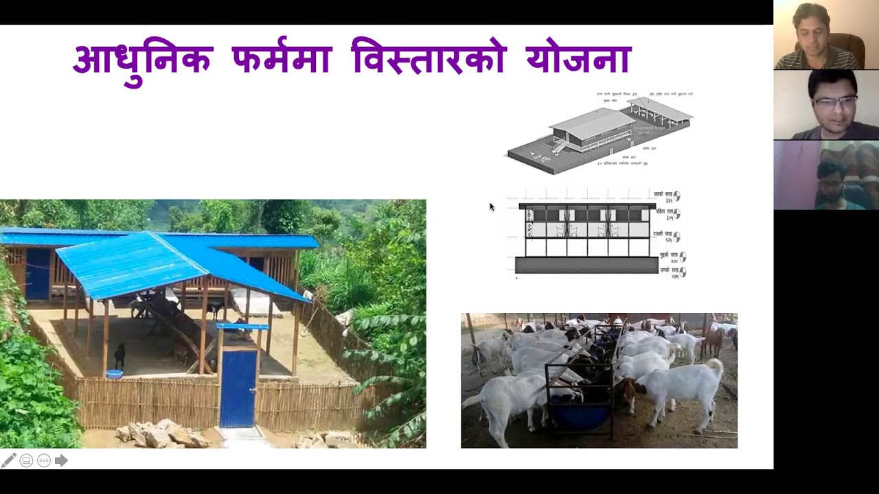 Sheep and goat farming business plan pdf image