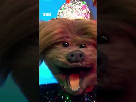 Eurovision 2023 Party Song on CBeebies #eurovision2023 #shorts