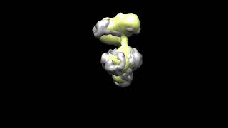 SUPERDENSS full alignment (PDB 4FE9)