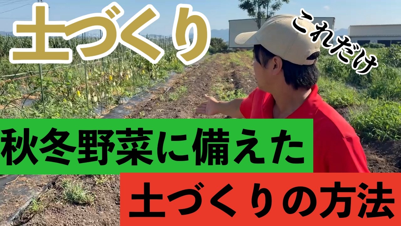 【秋冬野菜の土】次の土づくりのために絶対にやるべきこと