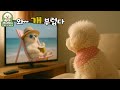 외로운건 딱 질색이니까! TV속의 동물 친구들을 보며 옛친구가 그리워졌어요