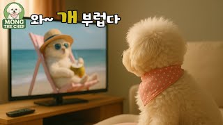 외로운건 딱 질색이니까! TV속의 동물 친구들을 보며 옛친구가 그리워졌어요