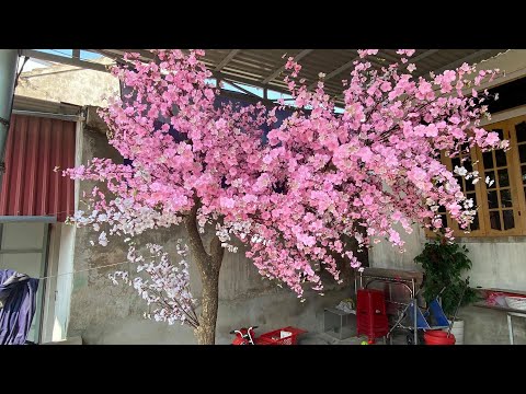 Làm cây đào giả trang trí tết