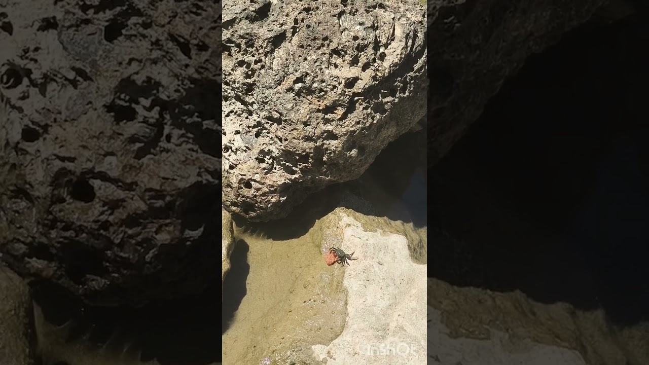 8 мая Чивитавеккя-Рим Costa Smeralda