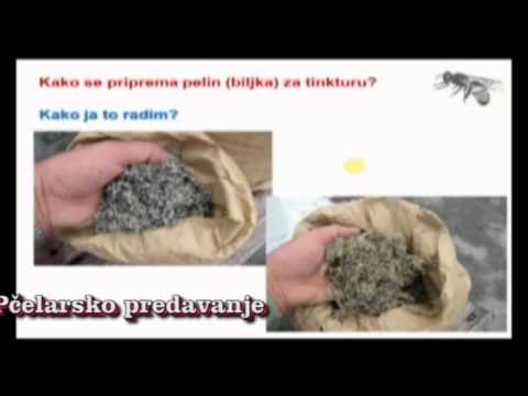 Video: Alkoholna Tinktura Pelina - Navodila Za Uporabo, Indikacije, Pregledi