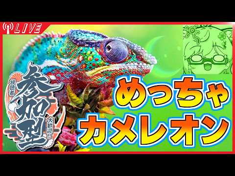 【参加型】一緒に遊ぼう！【めっちゃカメレオン】