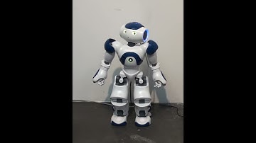 First steps in emotional expression of the humanoid robot Nao: Surprise