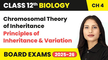 Chromosomal Theory of Inheritance - Principles of Inheritance and Variation | Class 12 Biology Ch 4