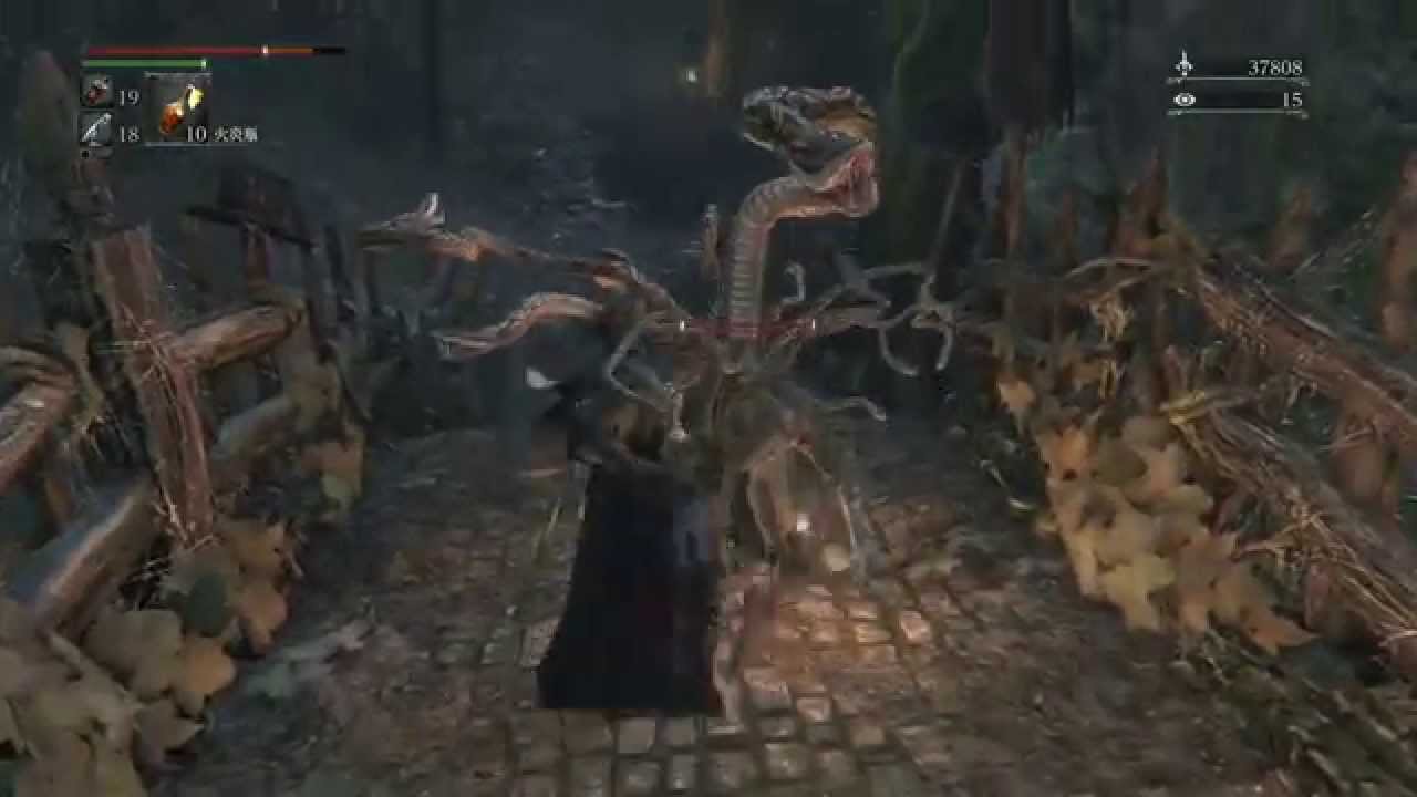 【Bloodborne】逆にこっちが解説してほしいブラッドボーン解説実況【Part18】