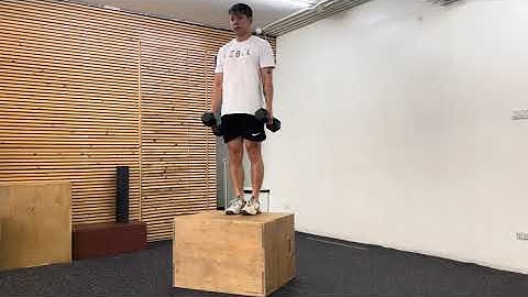 DB Suitcase Box Step Up