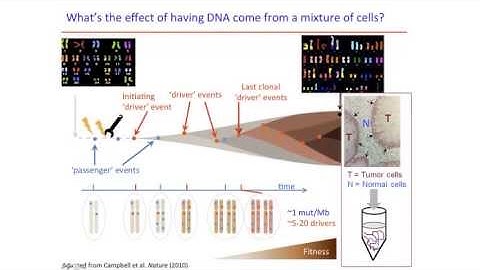 Sequencing analysis of cancer tissue samples: FFPE vs.Fresh Frozen