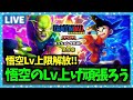 【ドラクエウォーク】悟空のレベル上限解放!Lv99まで頑張るぞ…!【雑談放送】