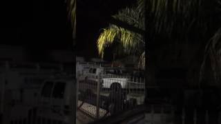 B-08044-17  Subject wanted in connection of business burglary at 1440 N. Dorgenois