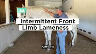 What Causes Intermittent Front-End Lameness in Horses