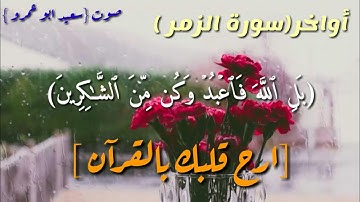 أواخر سورة الزمر ||ارح سمعك بذكر الله ||صوت سعيد ابو عمرو