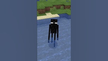 Minecraft But If I Take Damage I Become Random Mob... 😧
