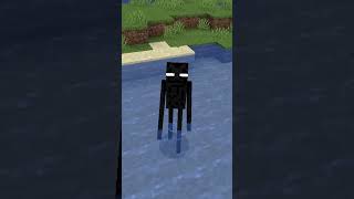 Minecraft But If I Take Damage I Become Random Mob...