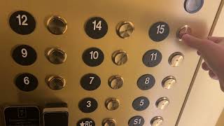NICE TKE Evolution 200 MRL Elevators | Honeyrose Hotel | Montreal, QC