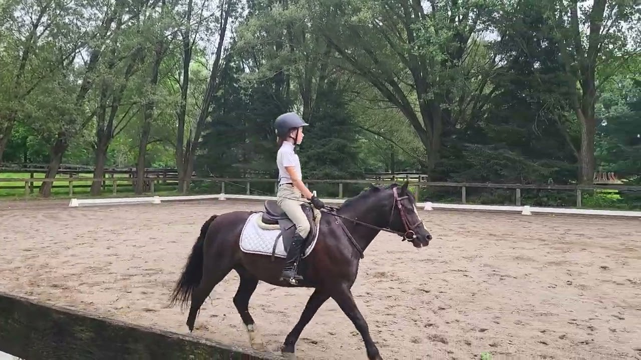 Audrey Mundt riding Blacklea Mystic Knight, Foxcroft CT, CT60, July.2024