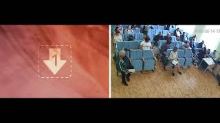 Засідання позачергвої LXXXV сесії Старовірівської сільської ради VIIIскликання 14 05 26