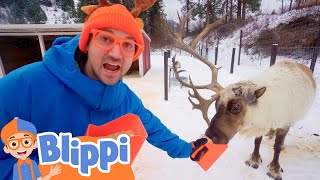 blippi visits a reindeer farm learn animals for kids fun and educational videos for toddlers