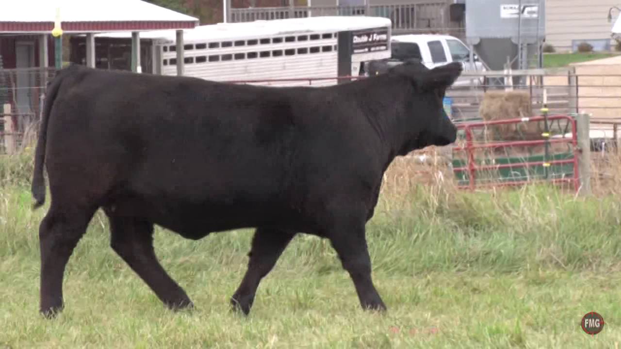 Double J Farms Tag 6137 YouTube