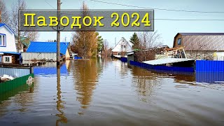 Паводок в городе Курган 2024 / СНТ Дружба КЗКТ взгляд изнутри / река Тобол