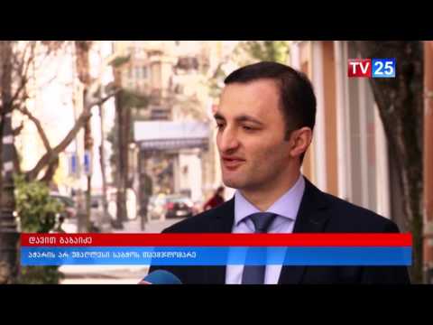 საკონსტიტუციო კომისიის ინიციატივები და შეფასებები