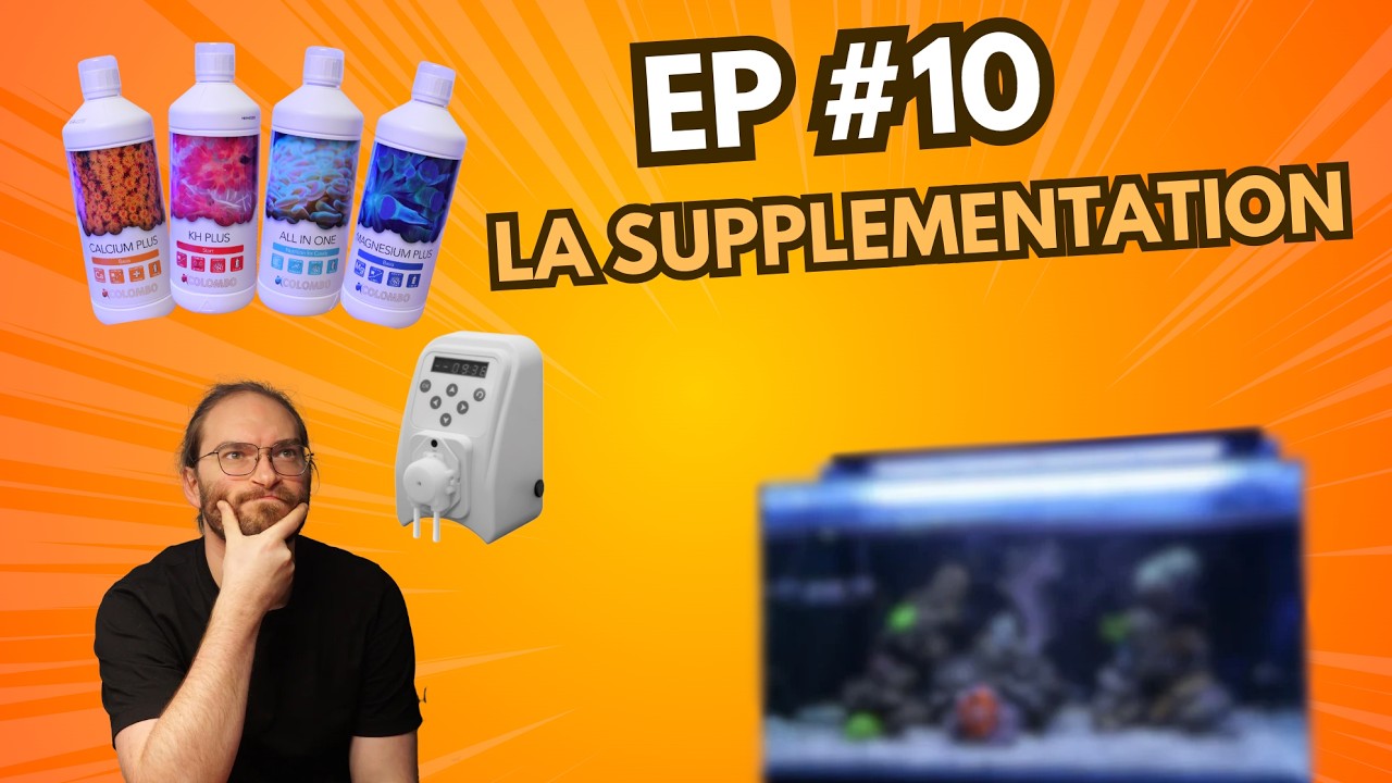 Mon premier bac récifal EP#10 : la supplémentation