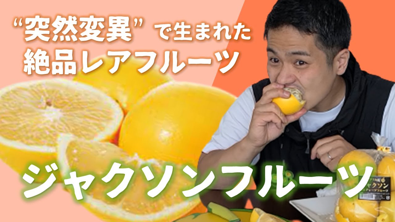 グレープフルーツより甘い！苦くない！むきやすい！「ジャクソン