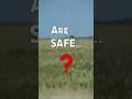 GMO Are Safe GMO Are Safe