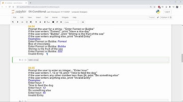 Python Practice Problems - 04 Conditional Execution