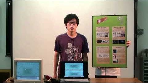 2011NSYSU PHYS   stereoscopic vision