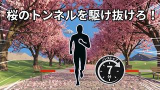 【画面に合わせて動く・走るリズムゲーム】お花見ランニングで桜のトンネルを駆け抜けろ！｜インタラクティブウォームアップ日本語｜immersive interactive warm-up Japan screenshot 1