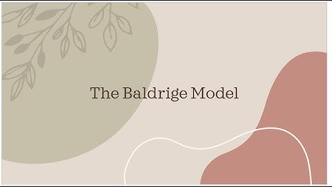 The Baldrige Model for Business Excellence
