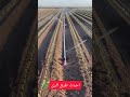 احدث الطرق للرى لتوفير المياه        