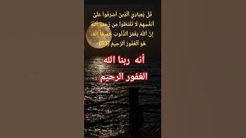 الاية 53 من سورة الزمر  #quran #اكسبلور #تيك_توك #المصحف #سورة #دويتو #لايك #الرحمن