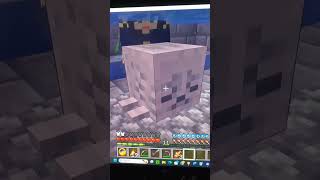Perch's Misadventures in a SMP Minecraft Server ep. 5