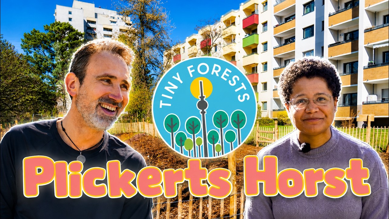 Vorschau: Video vom Pflanztag des Tiny Forest Plickerts Horst in Berlin-Marienfelde