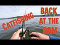 Catfishing, Back at the Dam