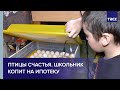 Птицы счастья. Школьник из Калининграда копит на ипотеку